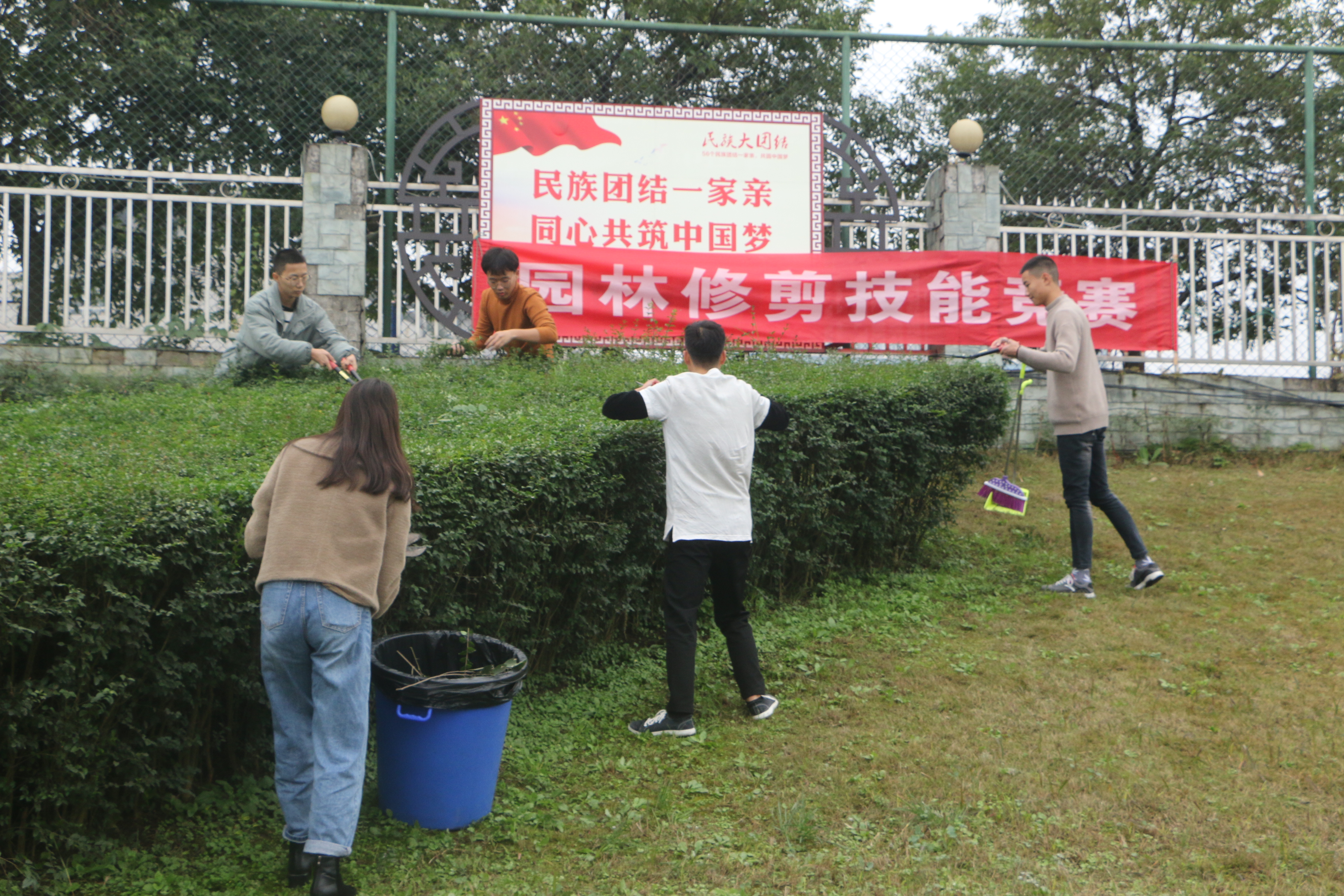 园林修剪竞赛1 园林修剪竞赛1