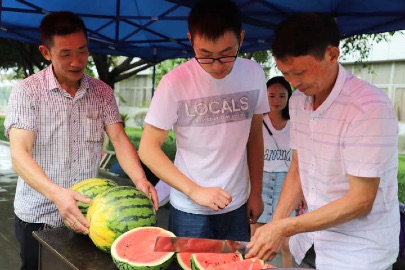 52D040CCECC6EE370E0B5C702360154F 52D040CCECC6EE370E0B5C702360154F