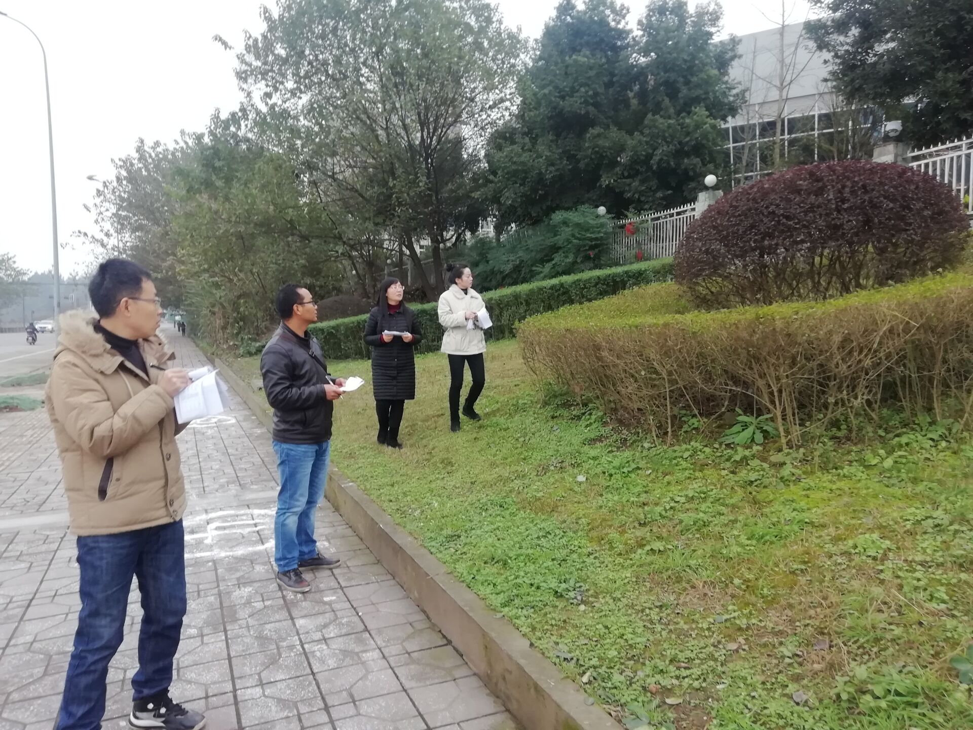 园林修剪竞赛3 园林修剪竞赛3