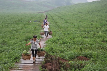 B90F73B781527C28A745B374167808F7 B90F73B781527C28A745B374167808F7