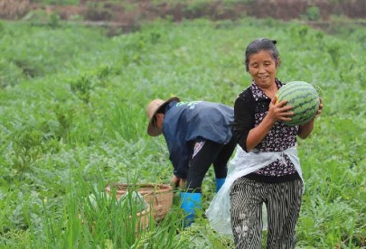 7FCD7B6AD6AF5BB114B4283B79C54525 7FCD7B6AD6AF5BB114B4283B79C54525