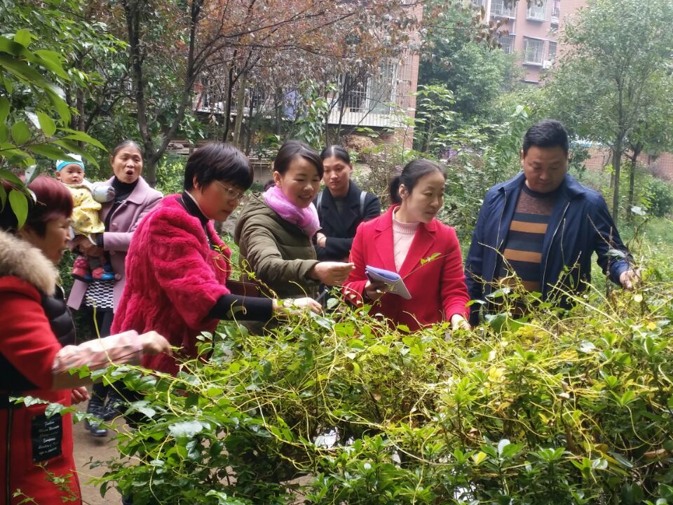 qq图片20171123103023